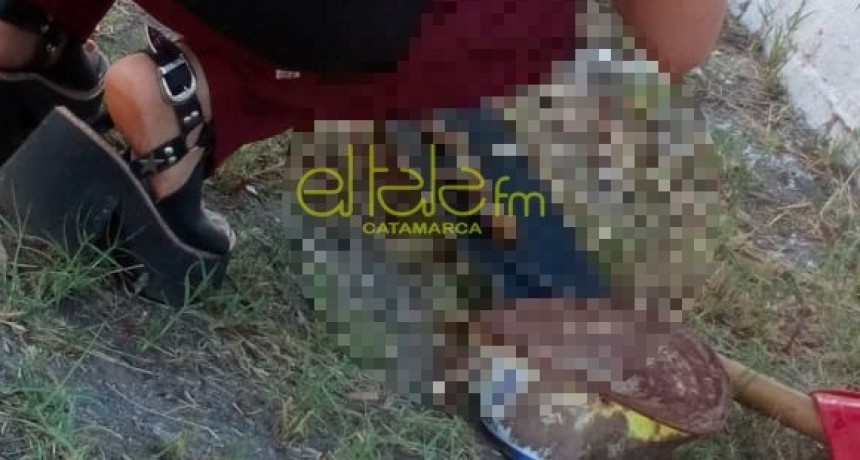 Encuentran feto en Plaza Espa&ntilde;a