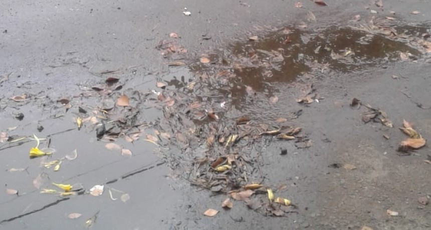 Vecinos Denuncian hundimiento de pavimento