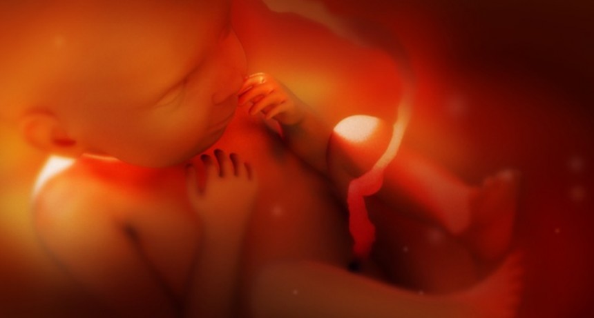 Practicar&aacute;n un ABORTO a una ni&ntilde;a v&iacute;ctima de violaci&oacute;n en Jujuy