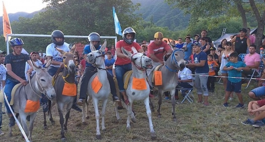 Rally de Burros en las Palmas