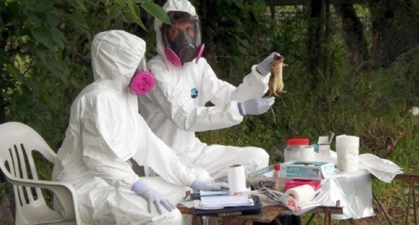 Hantavirus: La OMS emiti&oacute; un comunicado alertando al Gobierno