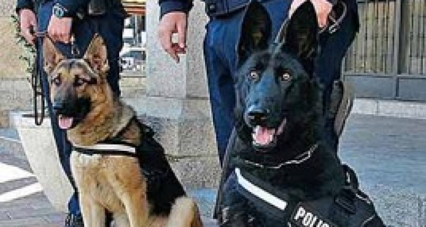 A las 5 de la ma&ntilde;ana reanudan la b&uacute;squeda de Paula Jimena Carrizo