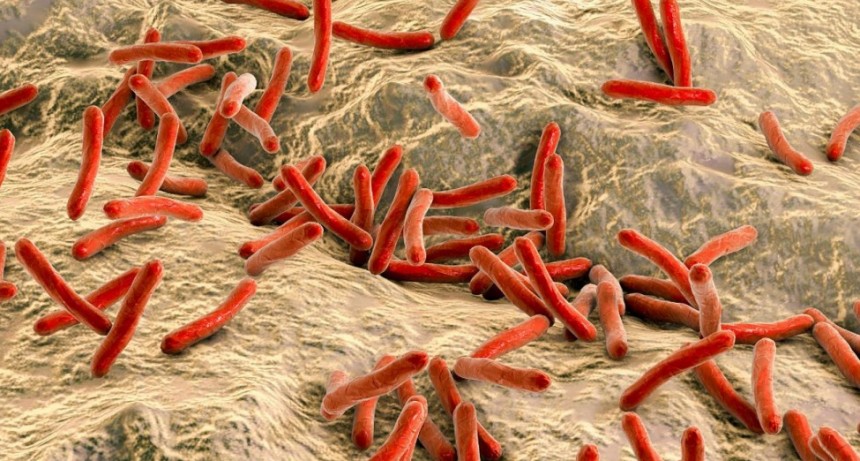 Misiones registr&oacute; 36 nuevos casos de lepra en 2018