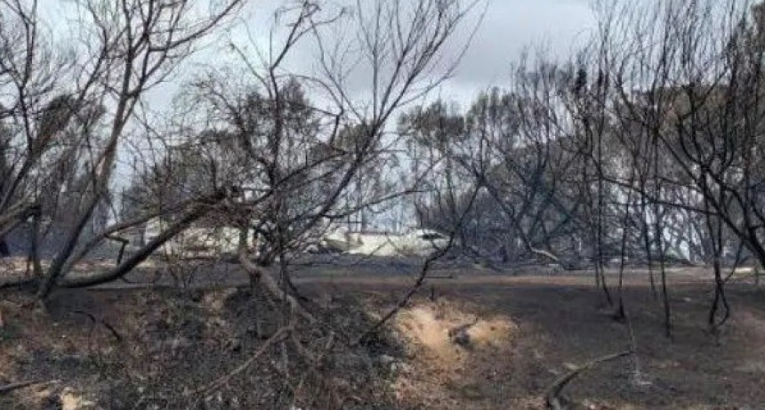 Las lluvias trajeron alivio a una Australia prendida fuego