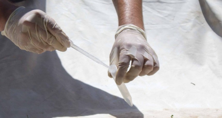 Evalúan en Valle Viejo  Índices Rápidos de Aedes aegypti