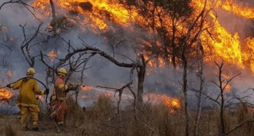 Se mantienen incendios activos en Santa Cruz, Río Negro y La Pampa