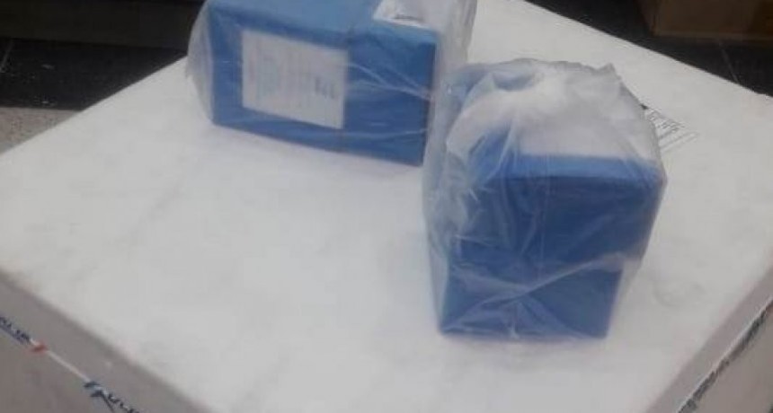 Suero equino: el hospital Malbrán recibió hoy los 25 tratamientos que compró la Provincia