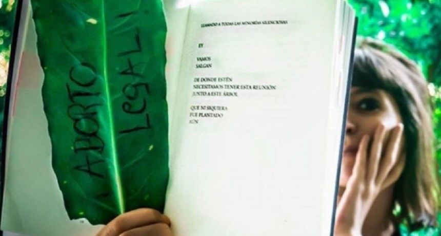 Mientras la Justicia observa su salud, Florencia Kirchner pidió aborto legal