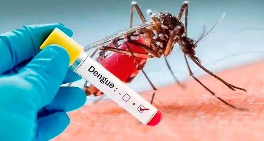Confirman primer caso de dengue en Catamarca