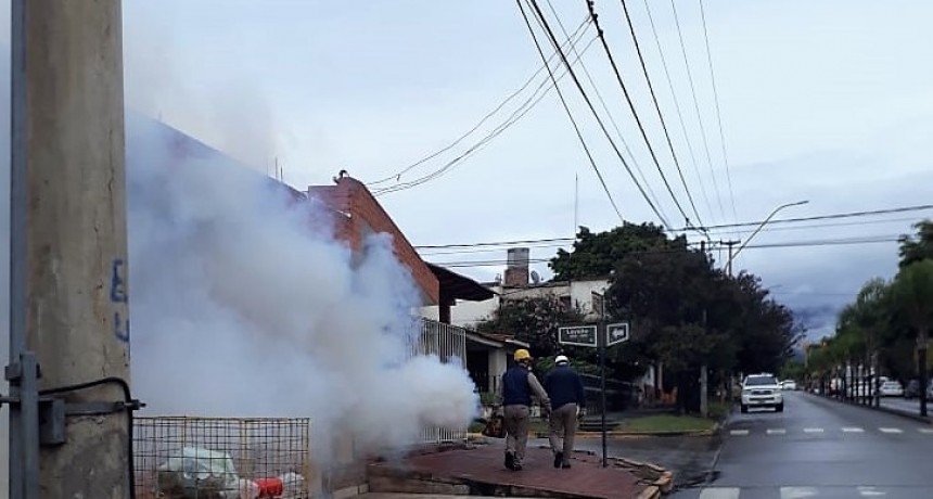 Dengue: suman ocho los casos detectados en la provincia y dos son autóctonos