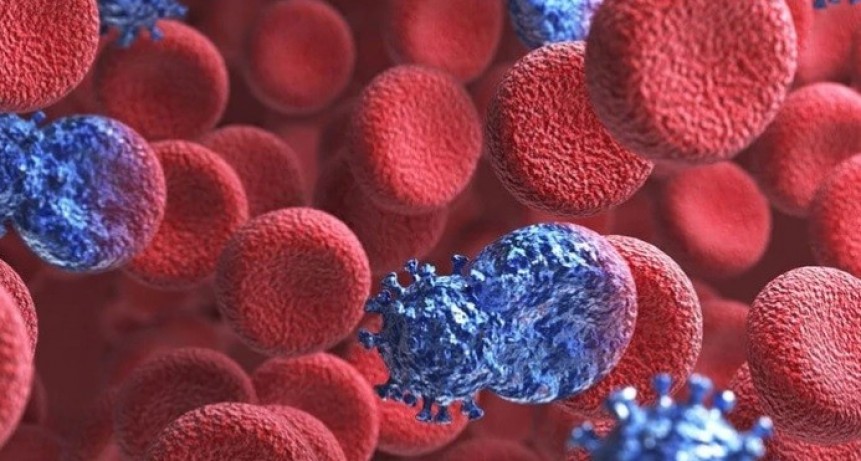 VIH: por segunda vez en la historia se logró curar a una persona