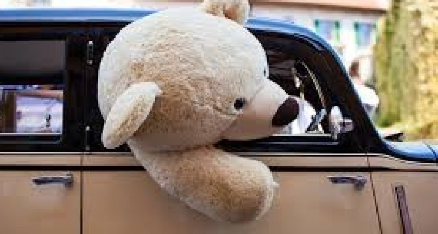 Una agencia de viajes… ¡para peluches! En Japón todo es posible