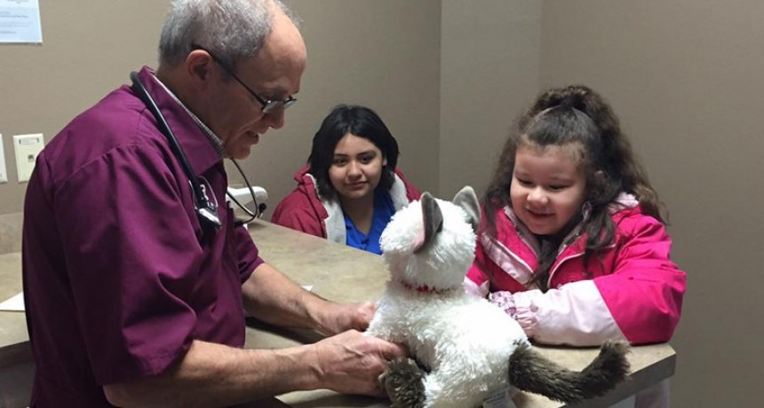 Un veterinario atendió a un gato de peluche “enfermo” de una niña autista