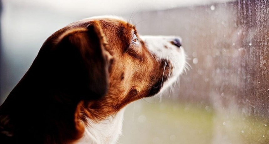 El tiempo en Catamaca: ¿la lluvia se va o se queda?