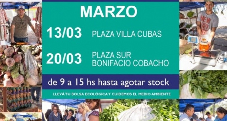 Con variedad de ofertas, vuelve el Mercado Social
