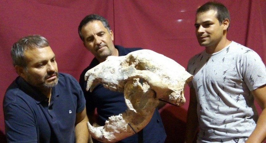 Descubren un oso gigante de 700 mil años de antigüedad en San Pedro