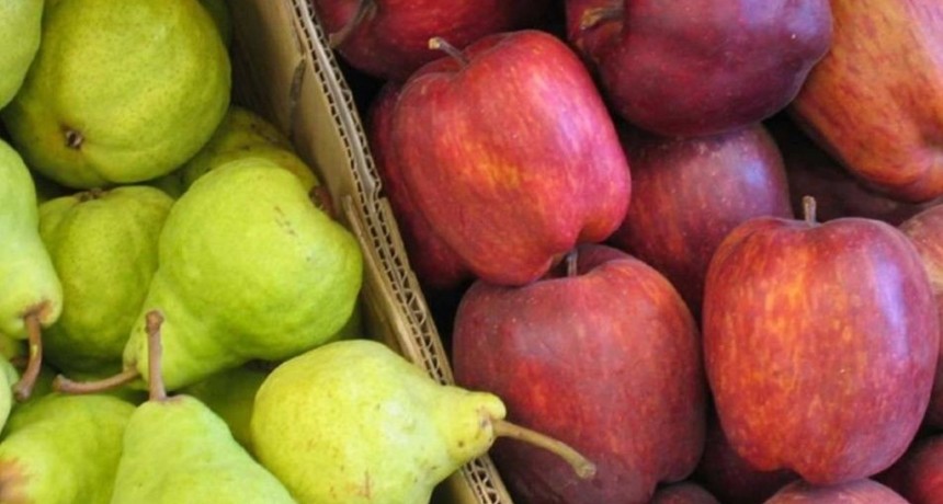 Brasil levantó la suspensión para el ingreso de peras y manzanas argentinas