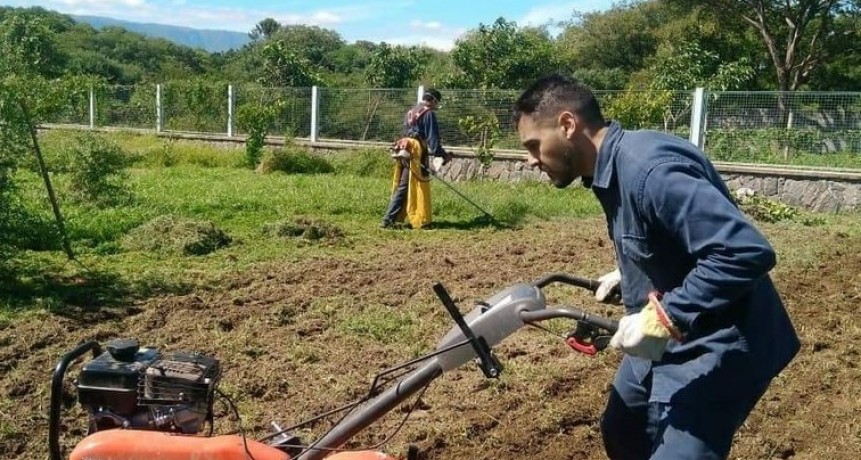 Huerta agroecológica en el Hospital de Villa Dolores