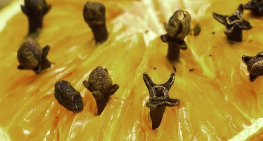 Trucos caseros para acabar con los mosquitos en casa