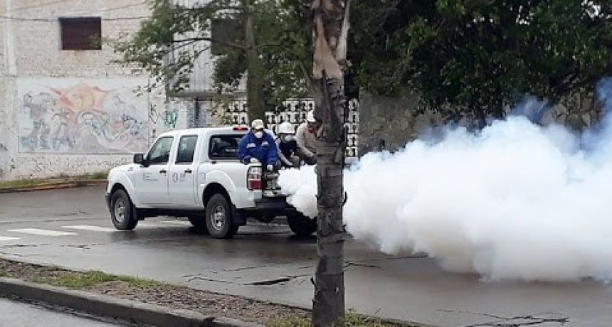 148 casos de dengue y se esperan resultados de dos casos sospechosos de COVID-19