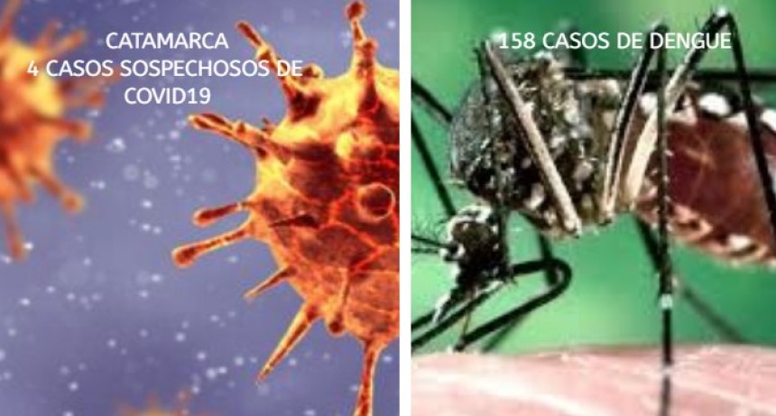 Cuatro nuevos casos sospechosos de COVID-19 y 12 de dengue