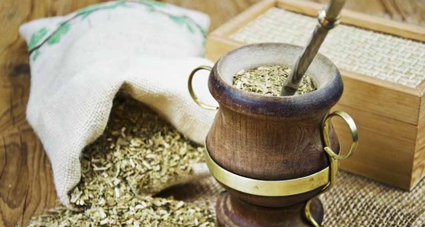 Un estudio indica que la yerba mate podría prevenir el Parkinson