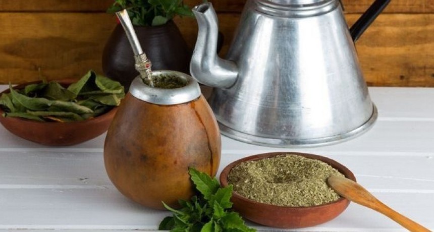 Yuyitos para el MATE cuáles son y que beneficios tienen