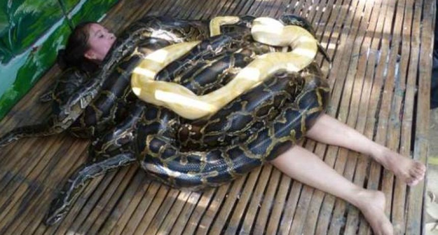 ¿Eres lo suficientemente valiente para un masaje de serpiente?