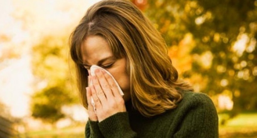 5 alergias típicas del otoño y cómo evitar sus síntomas