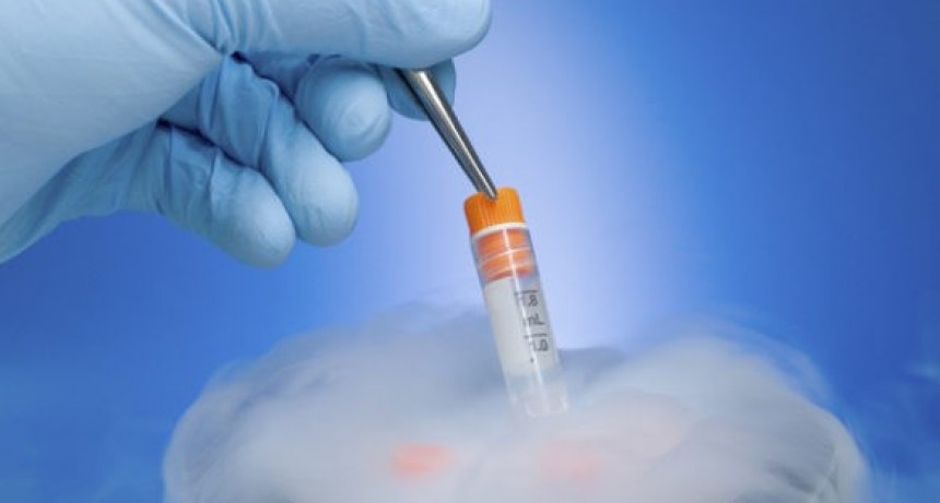 Congelación de embriones: buscan poner límite de 10 años para la conservación