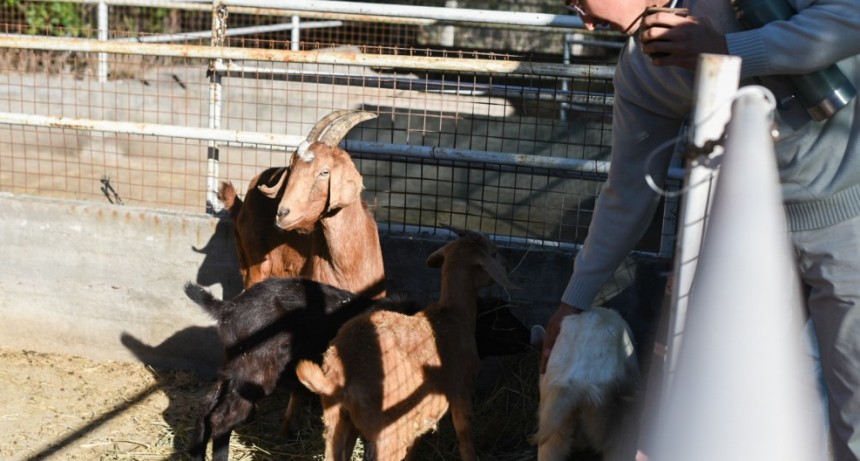 La Granja Educativa Municipal, lista para su lanzamiento