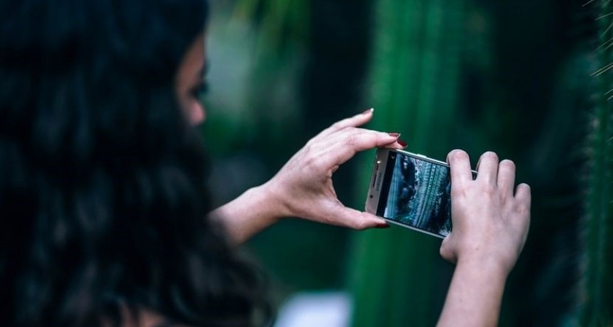 Crean app que reconoce plantas y animales