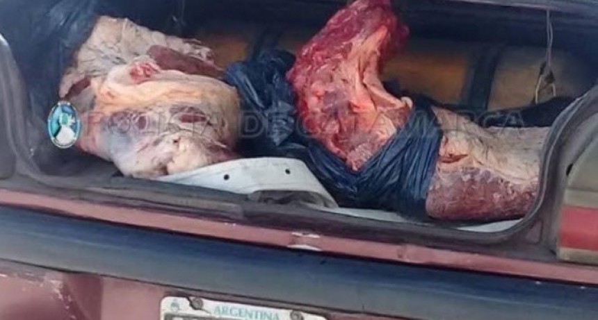 Decomisan 80 kilos de carne en El Portezuelo