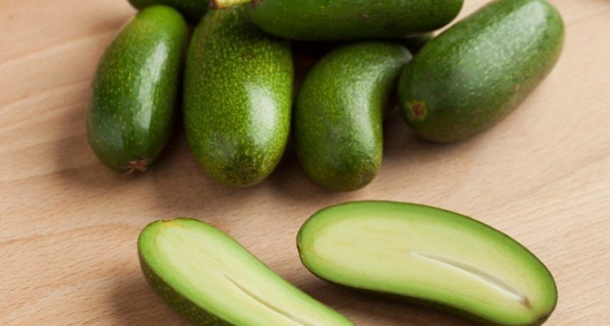¿Y el carozo dónde está? La desopilante palta que la rompe en los restaurantes europeos