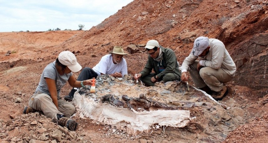 Descubren un extraordinario cementerio de animales de 220 millones de años