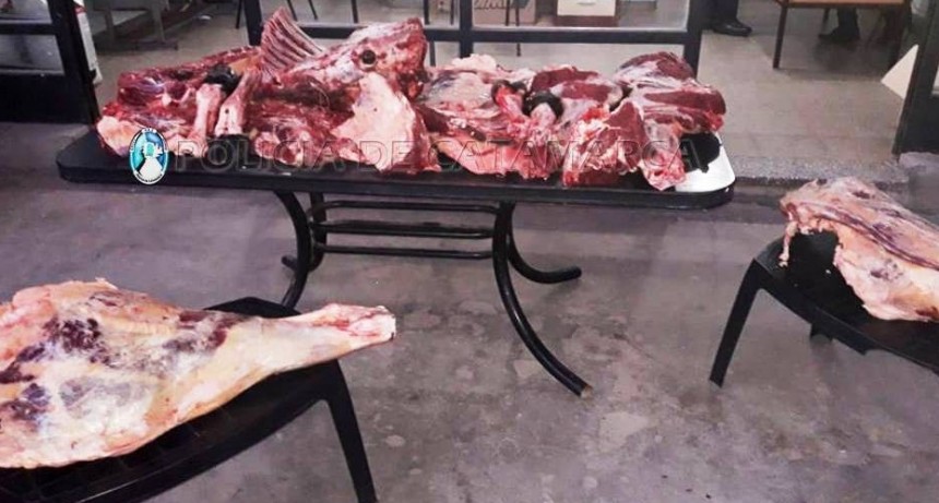 Decomisan pescado y carne vacuna en un puesto caminero de Valle Viejo