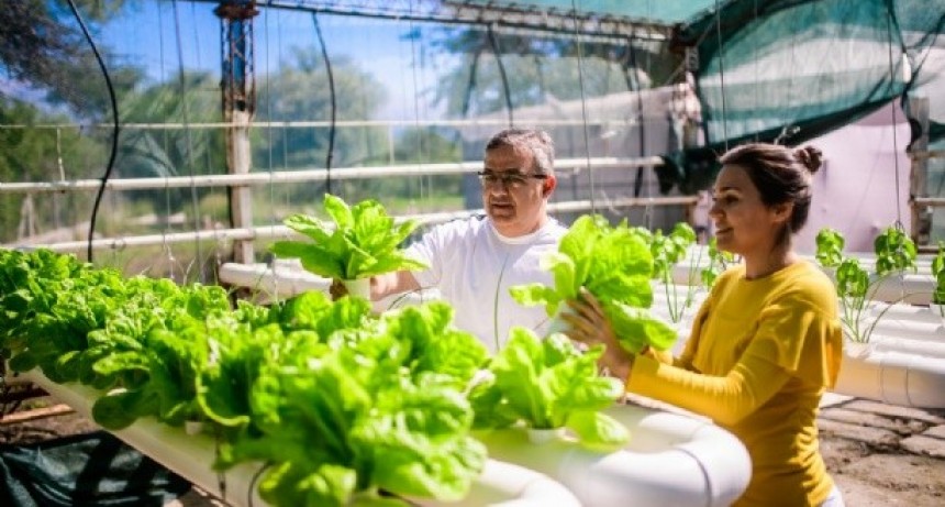 La Granja Educativa Municipal abre sus puertas el próximo lunes