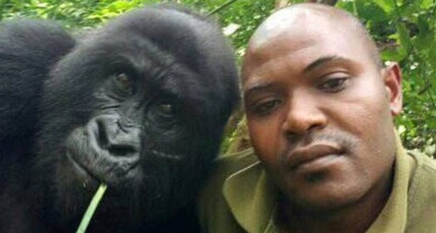 La divertida selfie de dos gorilas junto a sus cuidadores
