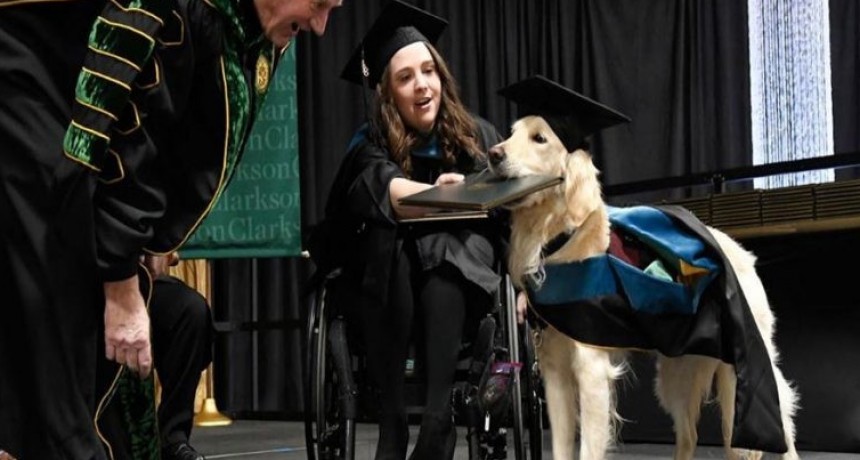 Perro  SE GRADÚA DE LA MAESTRÍA Con su dueña en NY