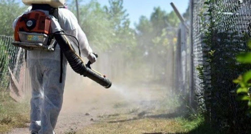 Dengue: se sumaron 29 nuevos infectados y ya no queda ningún caso sospechoso de Coronavirus