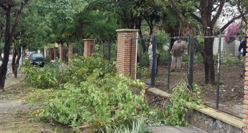 Limpieza y arreglos eléctricos en el Hospital San Juan Bautista