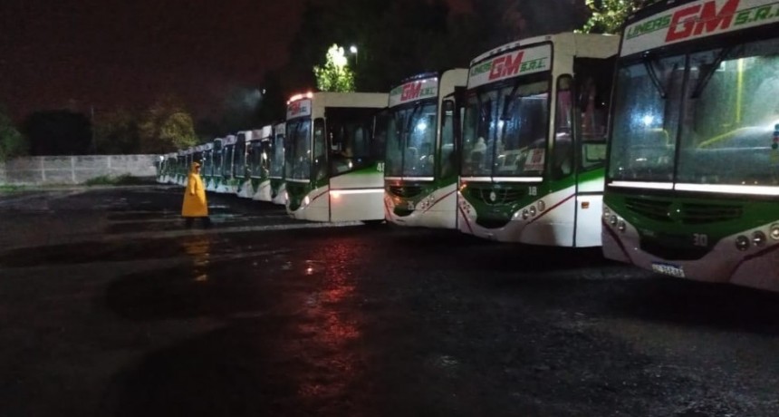 Por covid-19: Desinfección en colectivos de transporte urbano
