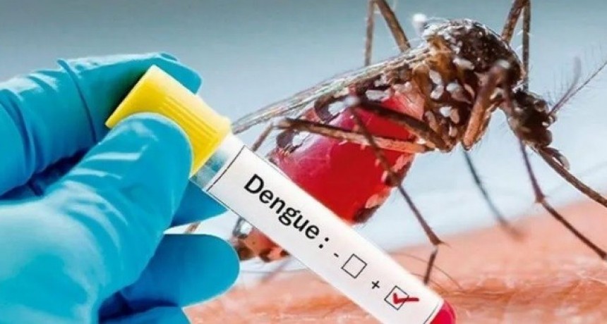 Catamarca sumó 23 nuevos infectados por dengue y continúa sin casos de coronavirus