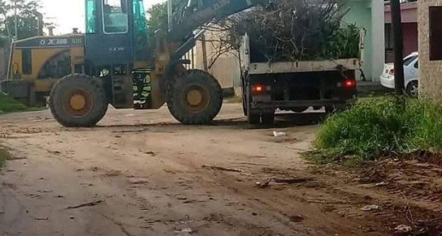 Siguen los operativos para combatir,el dengue