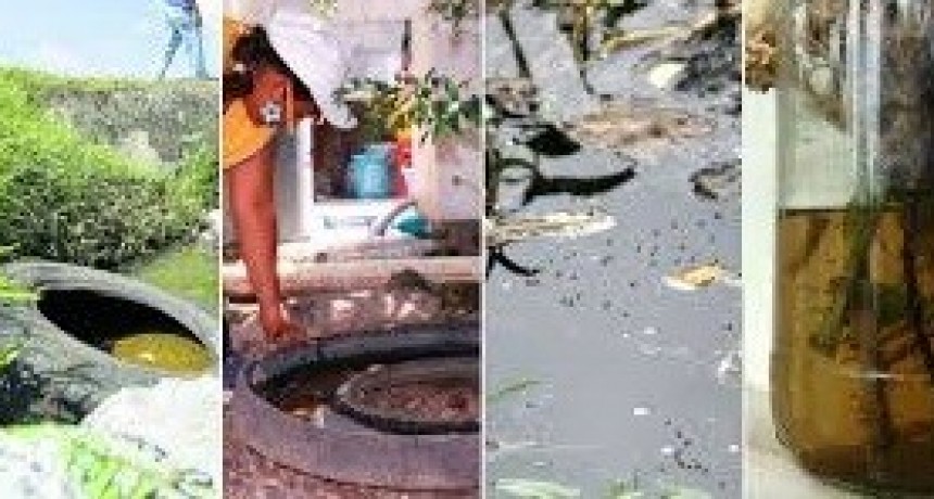 Tareas de limpieza: el 85 % de los mosquitos proviene de criaderos intradomiciliarios