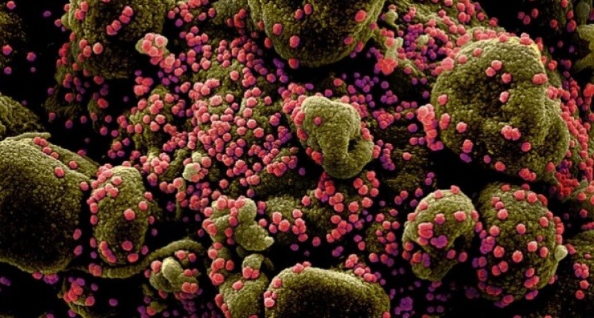 Un documental sobre el origen del coronavirus asegura que el Partido Comunista Chino ocultó que es sintético y se filtró de un laboratorio 