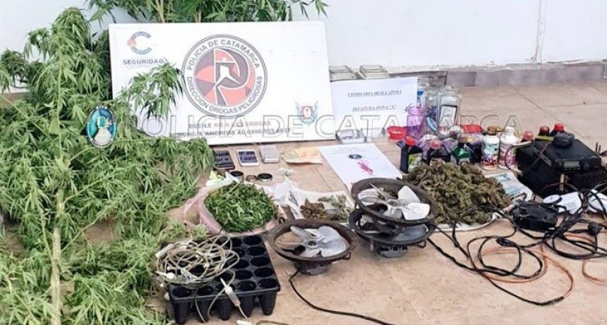 Operativo antidrogas: detuvieron a un joven que cosechaba y comercializaba marihuana