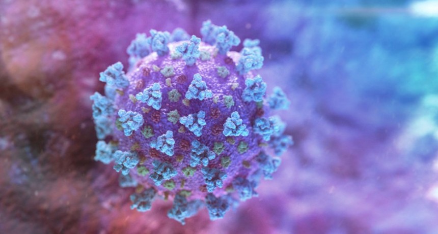  Un virólogo ruso pronostica cómo será la segunda ola de la epidemia del SARS-CoV-2 y explica cómo mutan esos virus 