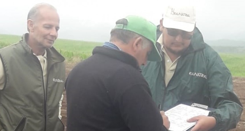 La papa Catamarqueña negocio Tucumano