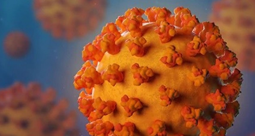 Información oficial actualizada sobre Dengue y COVID19 Catamarca 0 